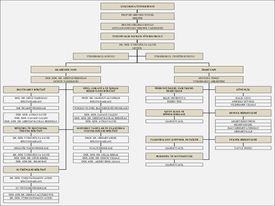 Organizasyon ve Teşkilat Şeması